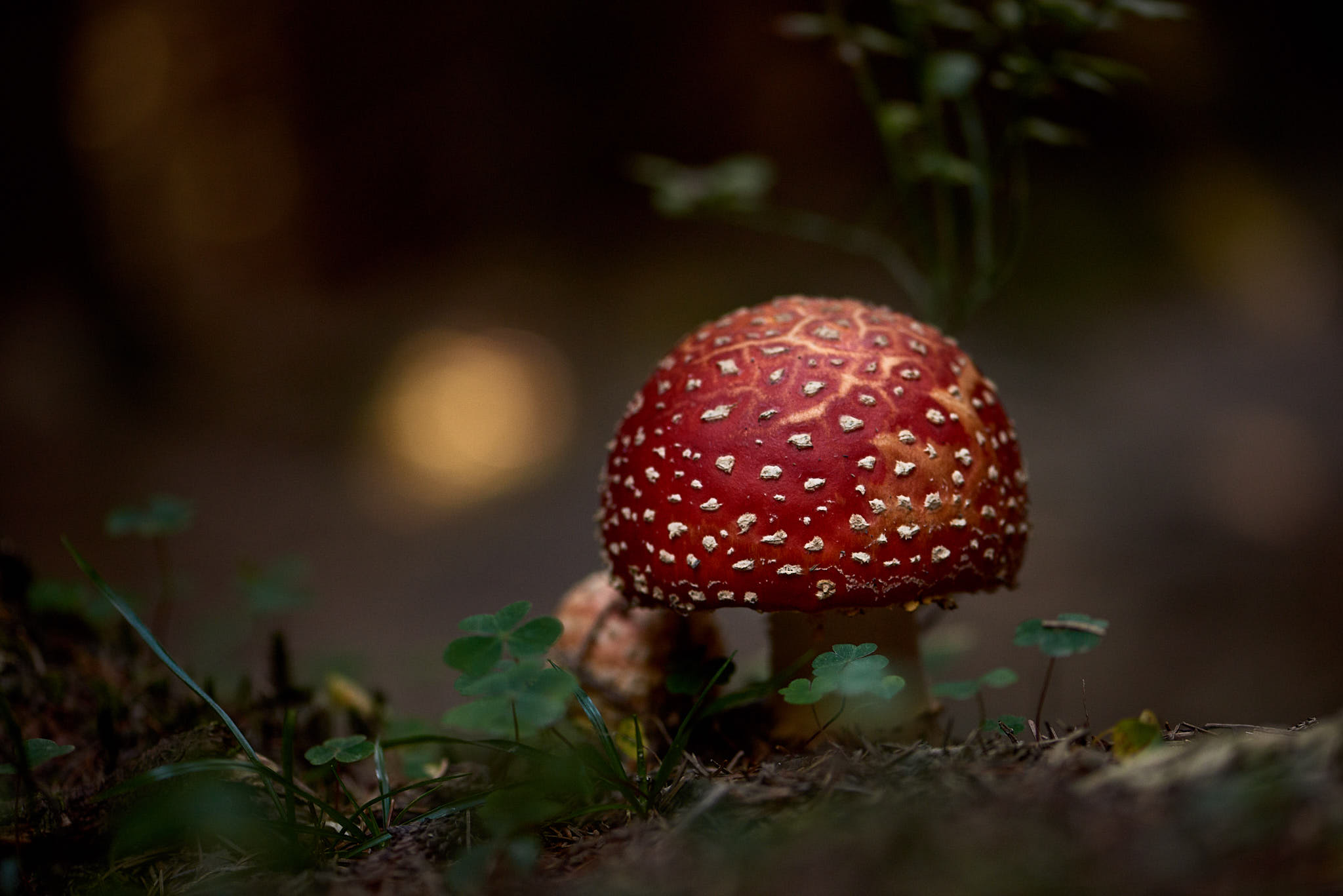 2018 10 09  D810  9549